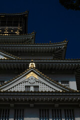 Obraz premium Osaka Castle