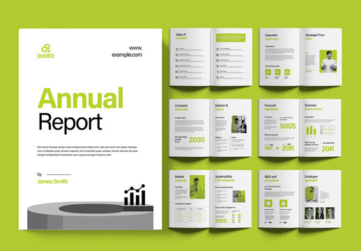 Company Annual Report