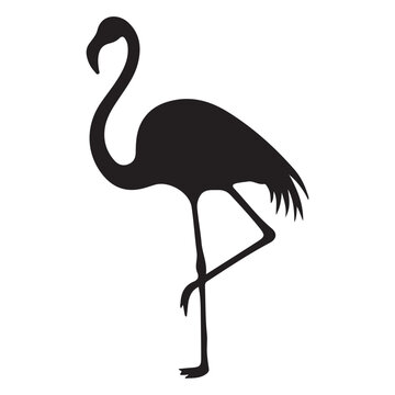 recommend clip art: Vector illustration of flamingo in outline style is isolated on white background. Black silhouette of tropical bird flamingo standing on one leg .Cranes, Egrets, and Flamingoes