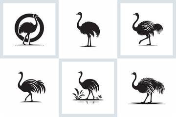 set of ostrich