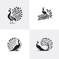 Peacock template vector