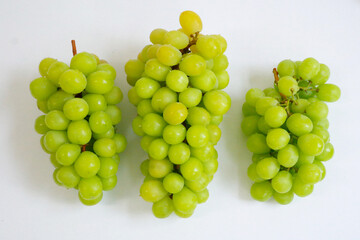 샤인머스켓 망고포도 청포도