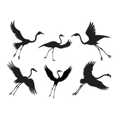Set of silhouettes of flamingo birds ,Flamingo silhouettes set, large pack of vector silhouette design, isolated white background