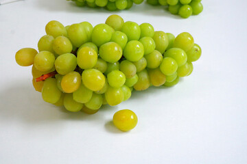 샤인머스켓 망고포도 청포도