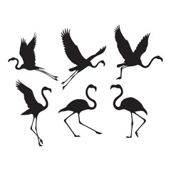 Set of silhouettes of flamingo birds ,Flamingo silhouettes set, large pack of vector silhouette design, isolated white background