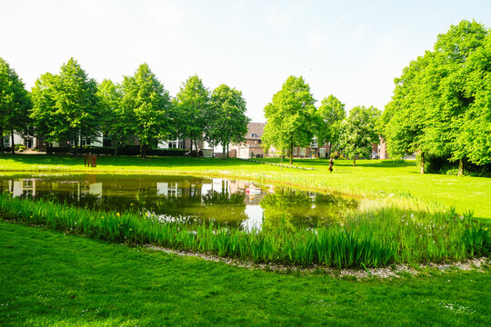 View of the frog pond in Rees.  City on the Rhine with a park.

