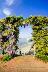View of nature and the promenade in Rees. City on the Rhine with the surrounding landscape.
