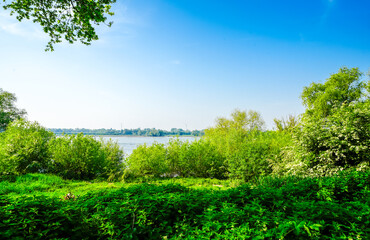 Fototapeta premium View of the banks of the Rhine near Rees. Landscape by the river. 