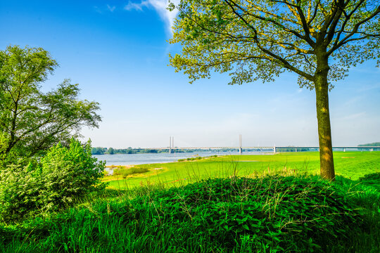 View of the banks of the Rhine near Rees. Landscape by the river.
