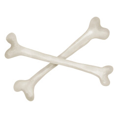 bone