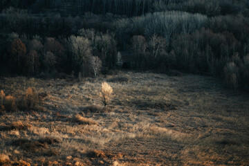 Beautiful sunrise in the countryside of Lecco province, near the Adda River
