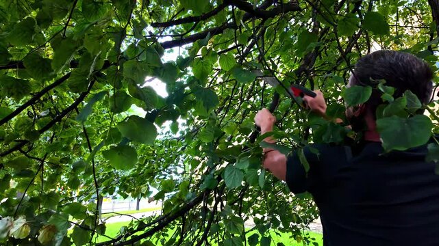 Man using handsaw to cut off tree branch, close up