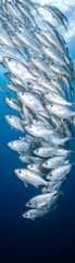Obraz premium Silver fish shoal gracefully swimming in unison, forming a mesmerizing, cloud-like formation under the ocean's surface