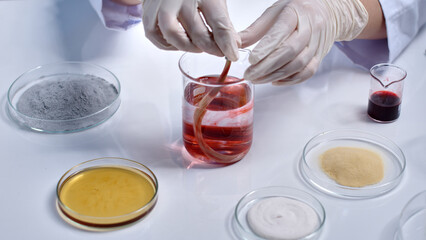 A yellow hair sample is being dipped into a red solution to dye it, next to it are chemical dishes for experiments. Close-up of experimenting with hair samples, studying dye colors