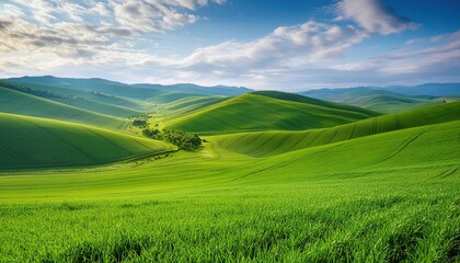 Obraz premium Fresh green fields in spring with a blue sky backdrop on a hill