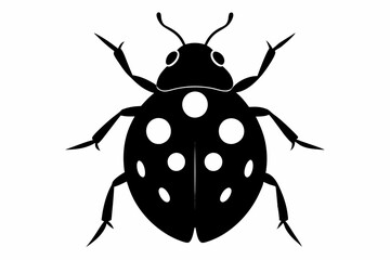 A black vector silhouette of a ladybird insect