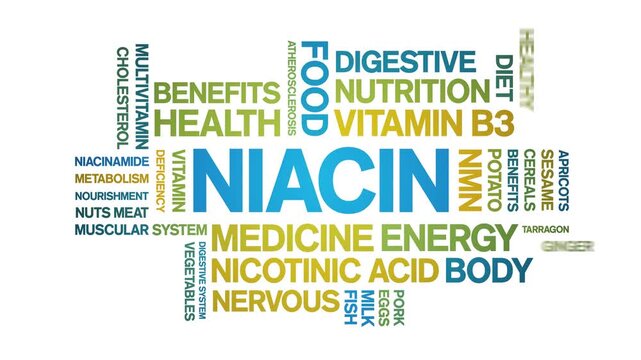 Niacin animated word cloud;text design animation tag kinetic typography seamless loop.