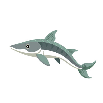 recommend clip art: Beluga Sturgeon Under water animal flat vector illustration