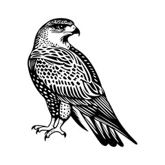 Fototapeta premium black and white animal vector types of animals about animals