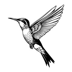 Fototapeta premium black and white animal vector types of animals about animals