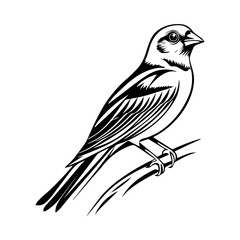 Obraz premium black and white animal vector types of animals about animals