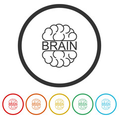 Brain word icon. Set icons in color circle buttons