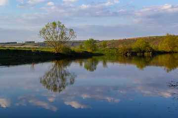 Flowers bloom in spring, blue sky and white clouds are reflected in the lake