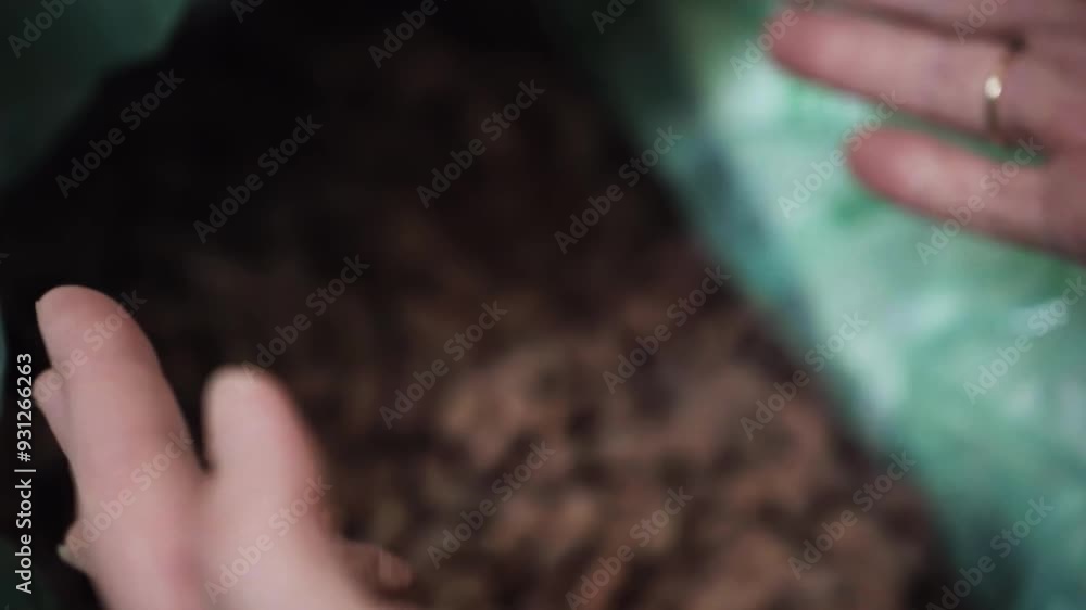 Poster hands dropping heap of cocoa beans into green bag. slow motion