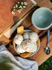 Homemade ice cream scoops in bowl on outdoor green background.