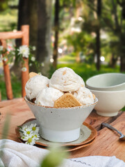 Homemade ice cream scoops in bowl on outdoor green background.