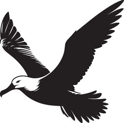 Beautiful albatross bird Silhouette isolated on white background Minimalist albatross vector shape