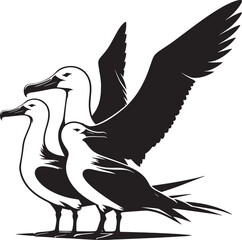 Beautiful albatross bird Silhouette isolated on white background Minimalist albatross vector shape