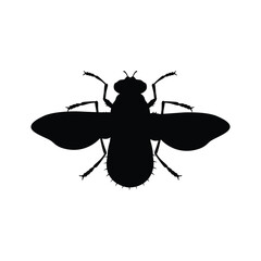 Insects, Ant, Cockroach, mosquito, Icon, Icon set, Insects Icon Set, Insects Icon Set