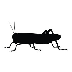 Insects, Ant, Cockroach, mosquito, Icon, Icon set, Insects Icon Set, Insects Icon Set