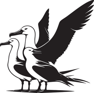 recommend clip art: Beautiful albatross bird Silhouette isolated on white background Minimalist albatross vector shape