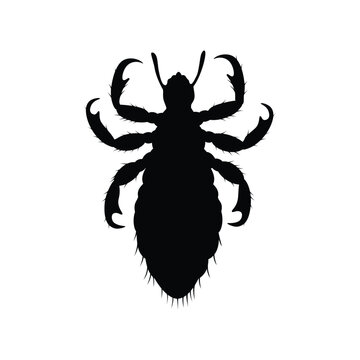 black louse silhouette on white background clip art preview