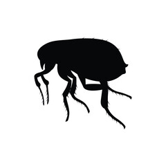 Insects, Ant, Cockroach, mosquito, Icon, Icon set, Insects Icon Set, Insects Icon Set