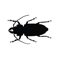 Insects, Ant, Cockroach, mosquito, Icon, Icon set, Insects Icon Set, Insects Icon Set