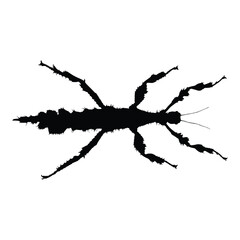Obraz premium Insects, Ant, Cockroach, mosquito, Icon, Icon set, Insects Icon Set, Insects Icon Set
