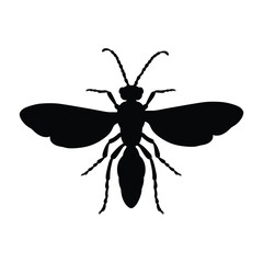Insects, Ant, Cockroach, mosquito, Icon, Icon set, Insects Icon Set, Insects Icon Set