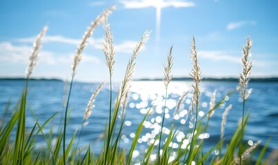 there is tall grass and in front of it lies an endless lake with sparkling water, Generative AI