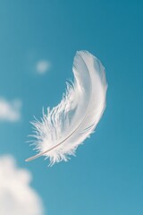 White feather in mid-air