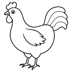 Obraz premium Chicken vector illustration.