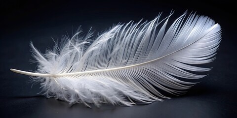 Obraz premium Close up of a single delicate white feather on a dark background, feather, soft, delicate, purity, isolated, light, ethereal