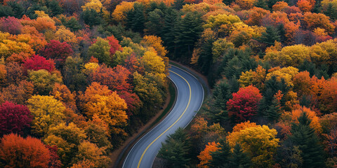 Naklejka premium Winding Road Through Fall Foliage: An aerial shot of a curving road cutting through a forest filled with trees in peak autumn colors. The road is empty, emphasizing the beauty of nature in autumn.
