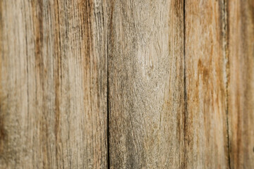 Old teakwood door -3