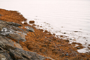 Calm ocean waves against rocky shore with distant hills