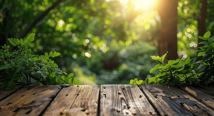 Serene Forest Scene With Sunlight And Wooden Deck