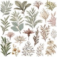 seamless pattern with flowers