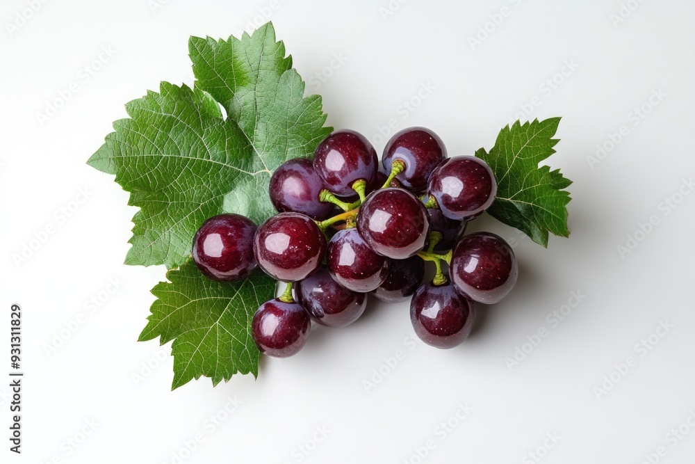 Wall mural Grapes and Leaves